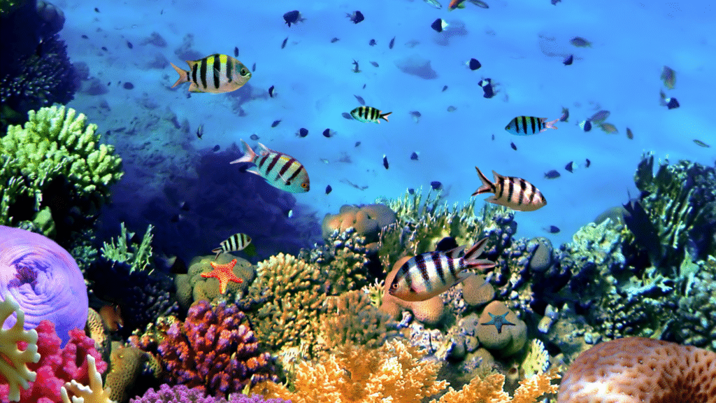 Reef-safe sunscreen floating near a coral reef with tropical fish, representing ocean-friendly sun protection in 2025 – Eco Nomad Travel