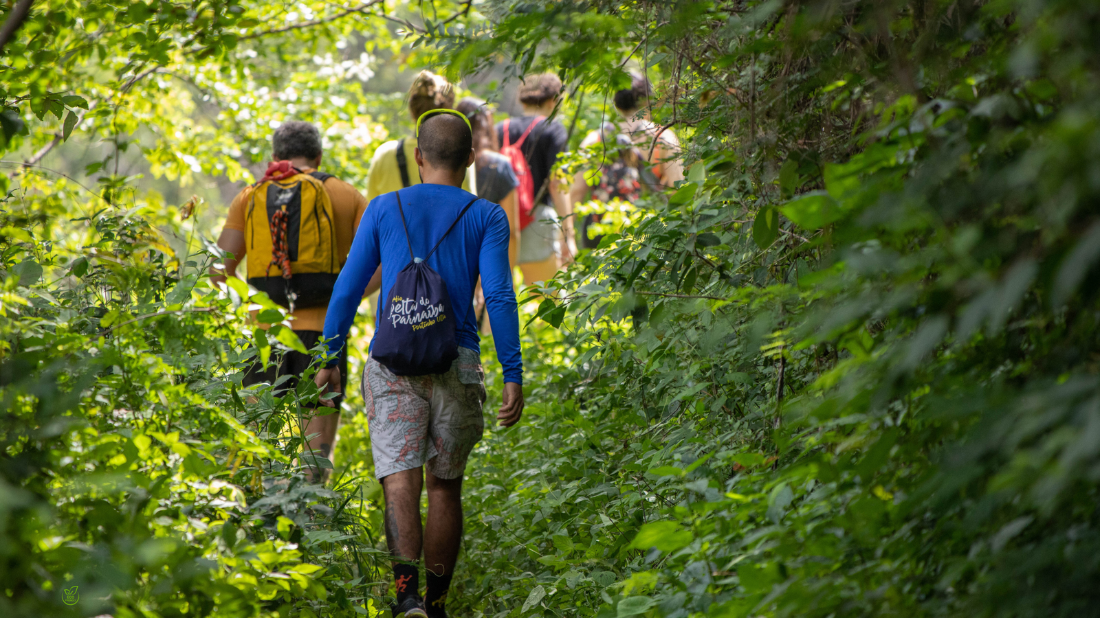 Travelers guided through lush forest — what makes eco friendly tours truly sustainable in 2025